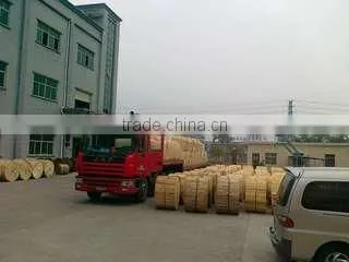 Shenzhen Teleweaver Technology Co., Ltd. company overview - view 3