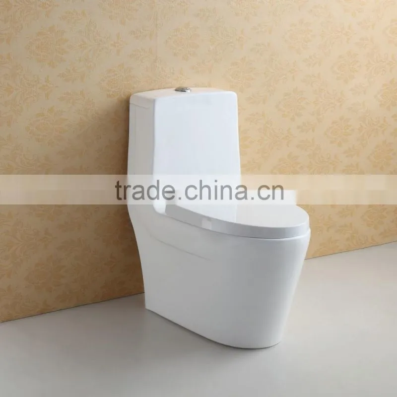 Contemporary White Ceramic Durable Water Closet
