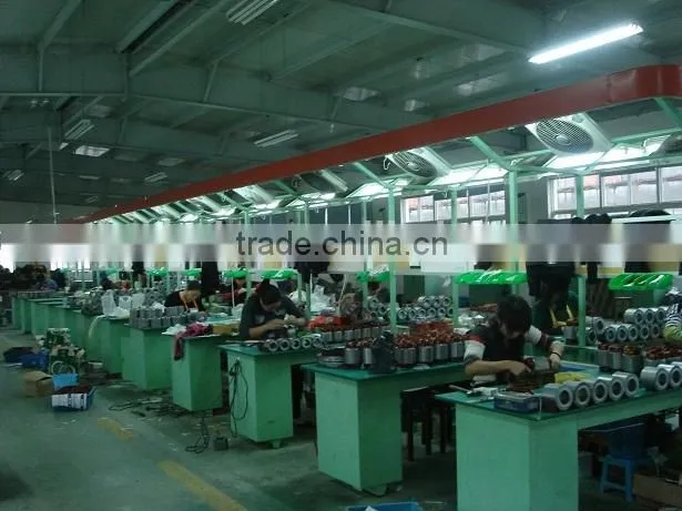 Electric hoist WT-G300B