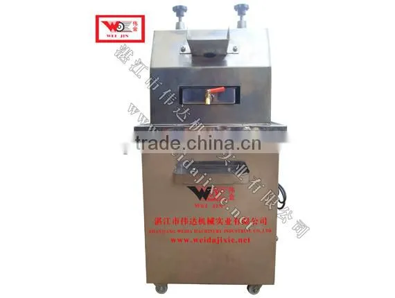 ginger juice extractor machine