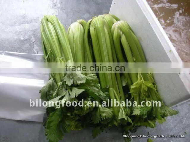 fresh mix vegetable from all china around