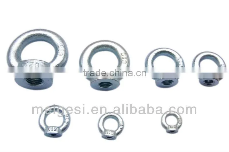 DIN582 (eye bolt)