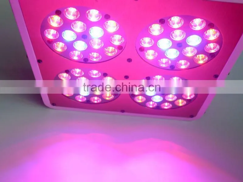 apollo led grow lights 200w led grow light kit greenhouse lighting