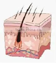 powerful ipl skin care ance removal facial machines skin care
