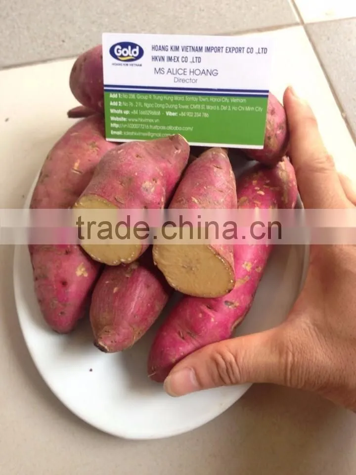Fresh Sweet Potatoes/ Sweet potato export good prices