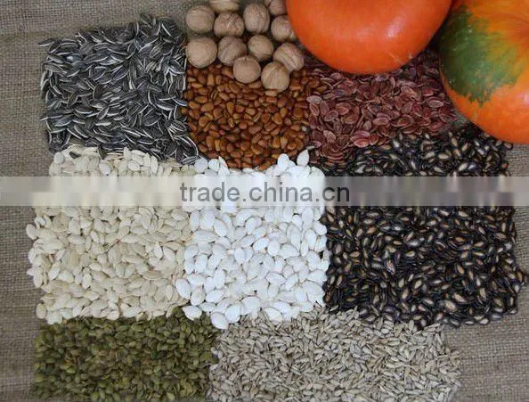 2011 new crop edible pumpkin seeds kernels