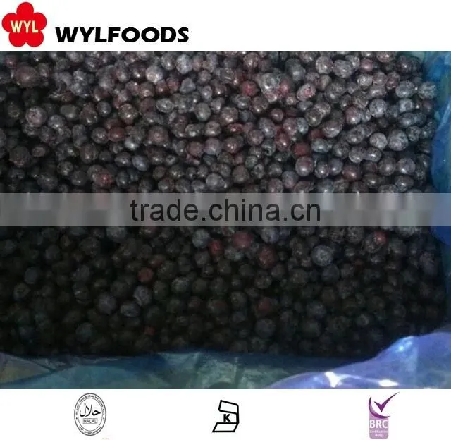 supply Chian fruite organic Frozen IQF black currants