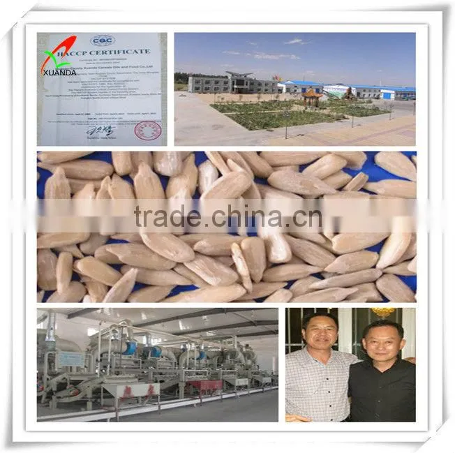 wholesale bird seed kernels chips
