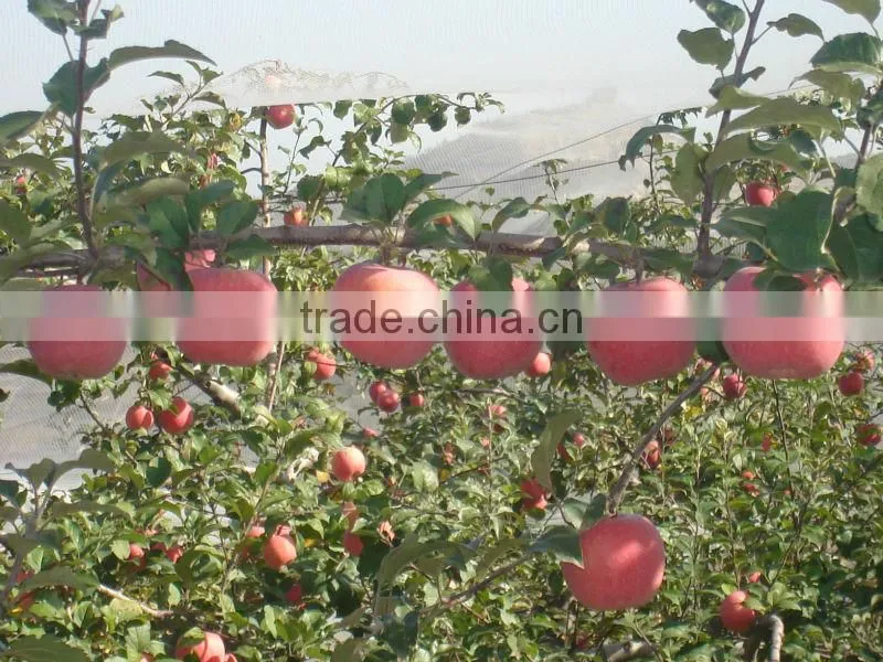 Water-soluble fulvic acid fertilizer