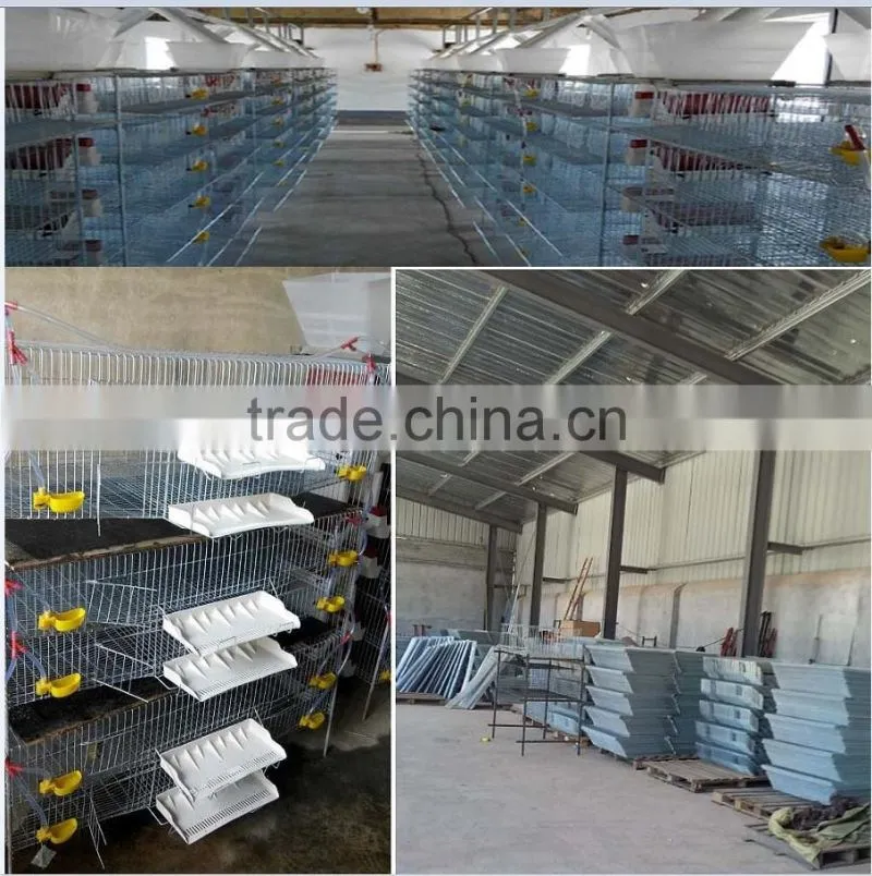 Poultry cage wire mesh,wire mesh quail cage,wire mesh pallet cage HJ-QC400A
