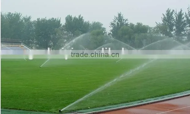 Irrigation system for lawn