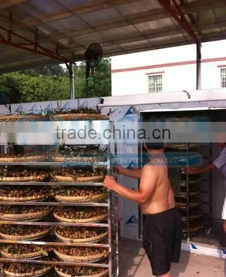 2016 Professional Fruit Drying Equipment
