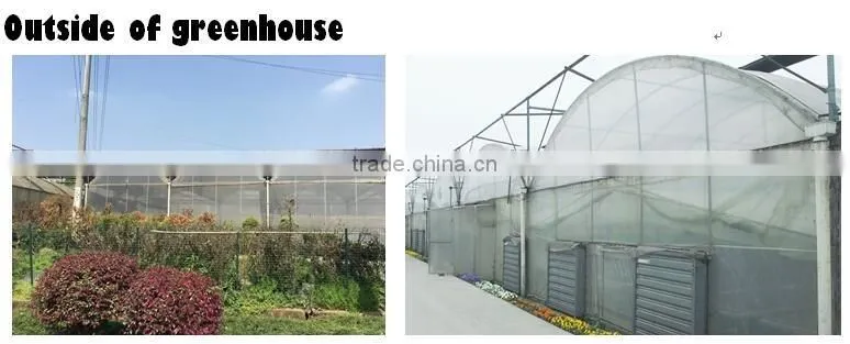 Multi Span Tunnel PE Plastic Film Hydroponic Systems Agricultural Commercial Greenhouse