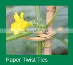 4mm x 15cm Precut coiled paper twist tie wire for Vineyard