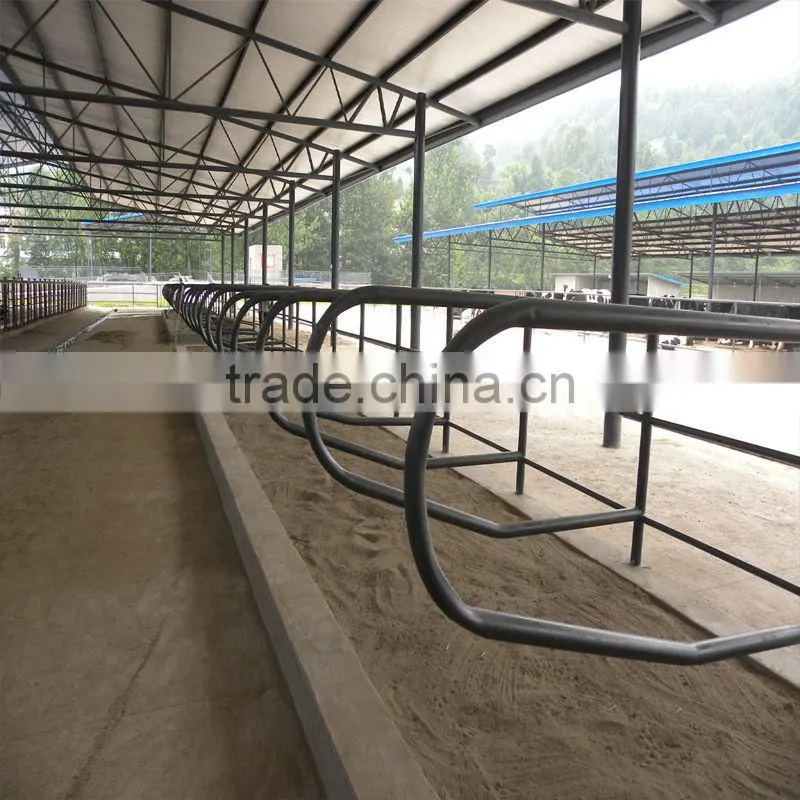 Prefab Steel Livestock Farm