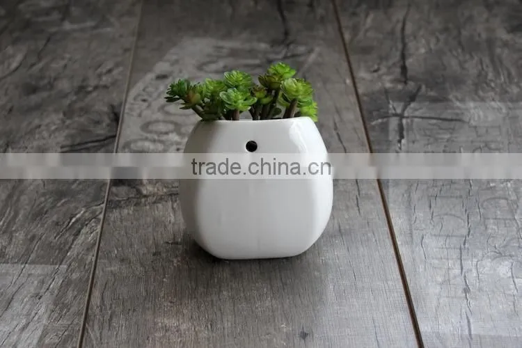 Desktop or hanging simple decoration succulent pot ceramic planter