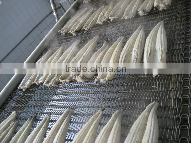 roasted eel
