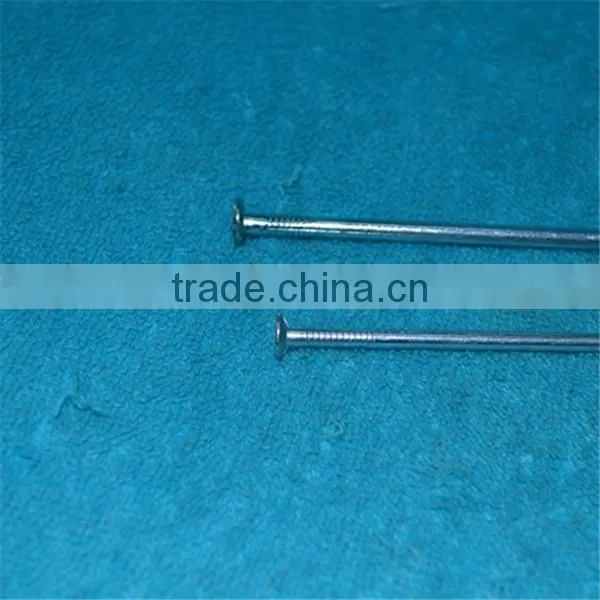 High Standard Galvanized Concrete Nail