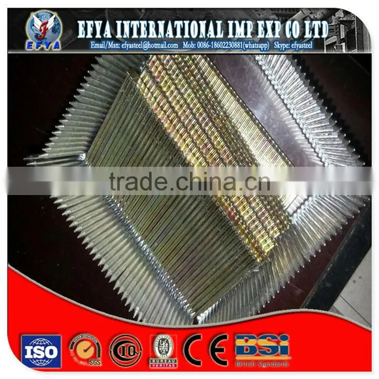 1/2"-13" High Quality Common Nails/ Stainless Steel Nail