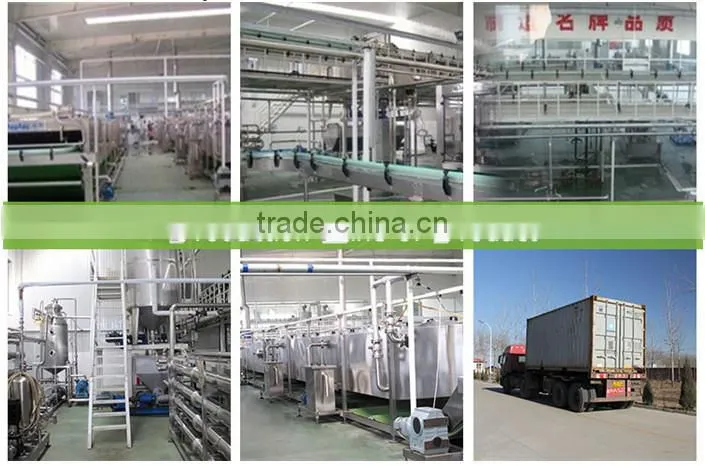 Quality Tomato Paste Manufacturer