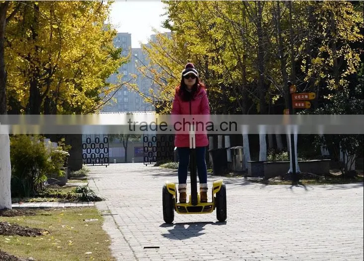 Sunnytimes-auto electric scooter mobility scooter
