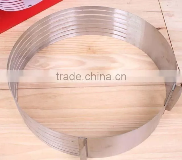 YangJiang factory manufature high quality big size stainless steel round Cake Mold