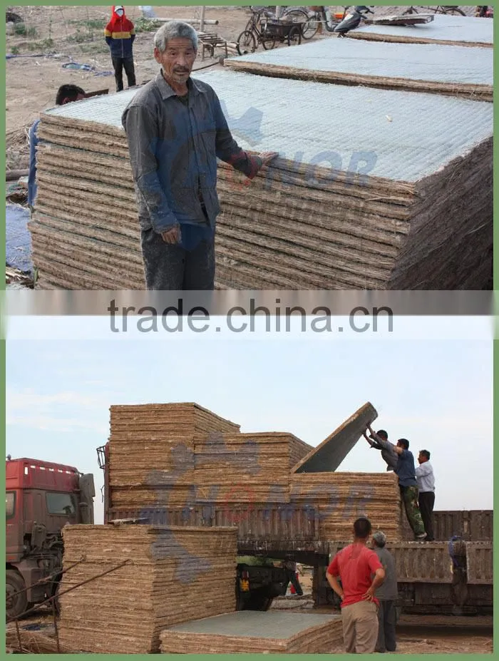 Home Use Mattress Tape Edge Machine for Sale