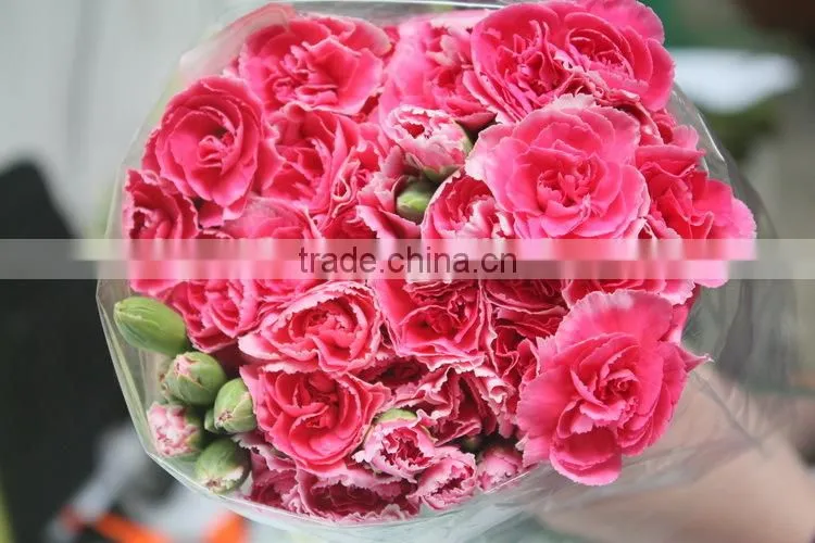 Good smell hot sale fresh cut carnations and roses