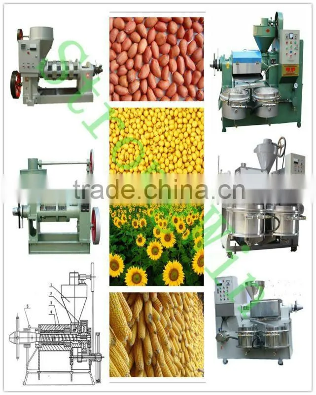 Easy operated for small business oil press mini in China with fine quality