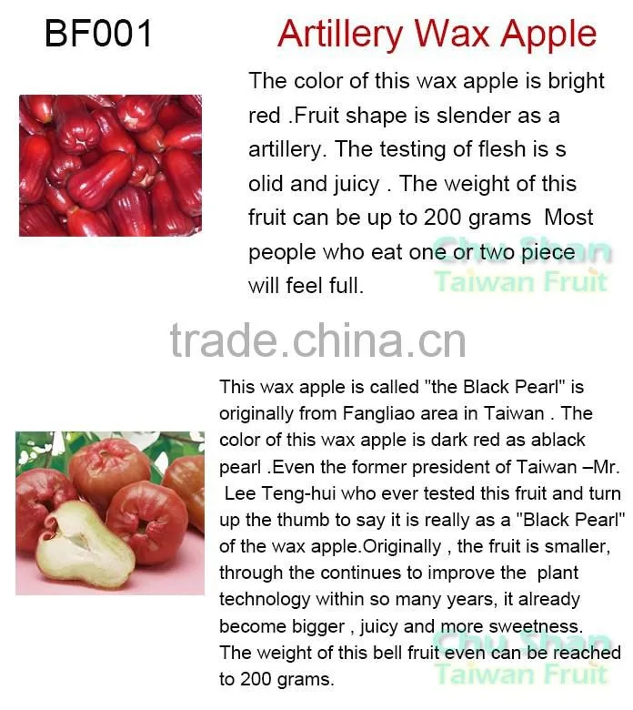 Good Quality Wax Apple for sale
