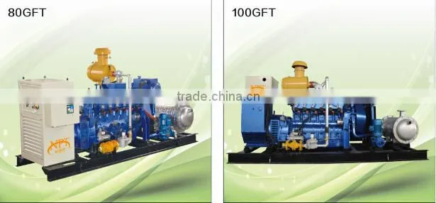 biogas engine generator
