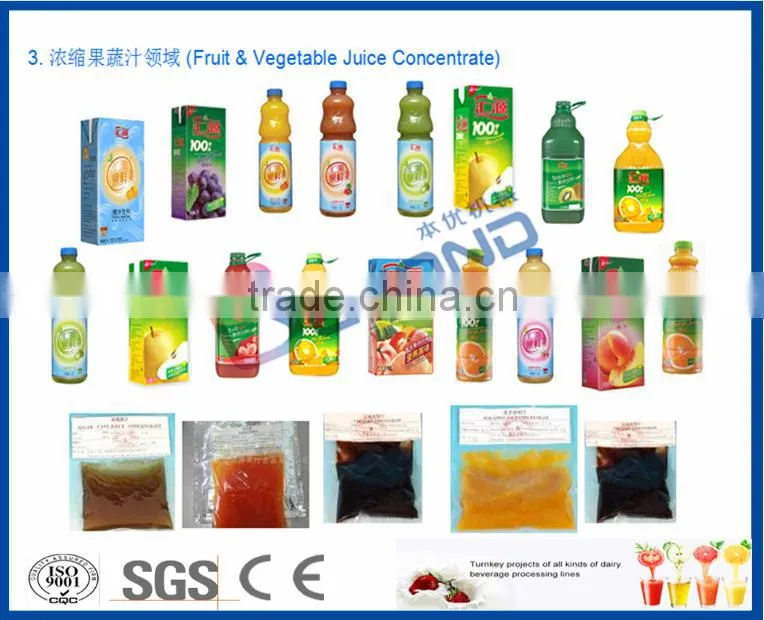 Beverage processing machine