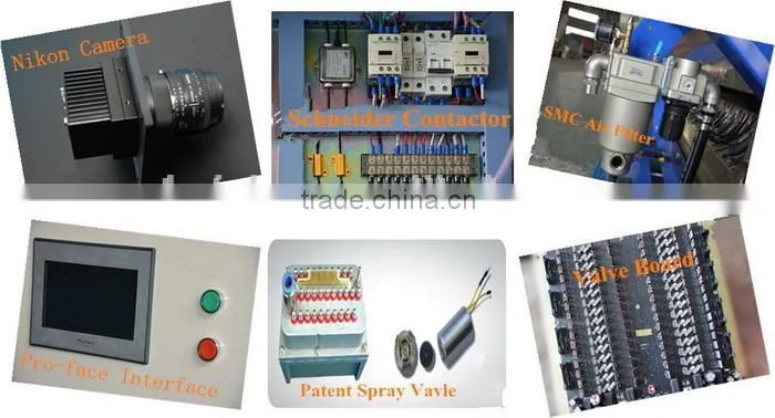 optical color sorter, digital color separation machine for garlic slice