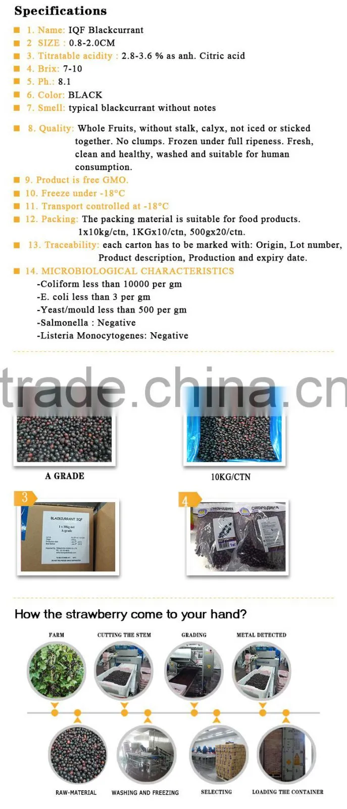100% pure Black currant seed oil