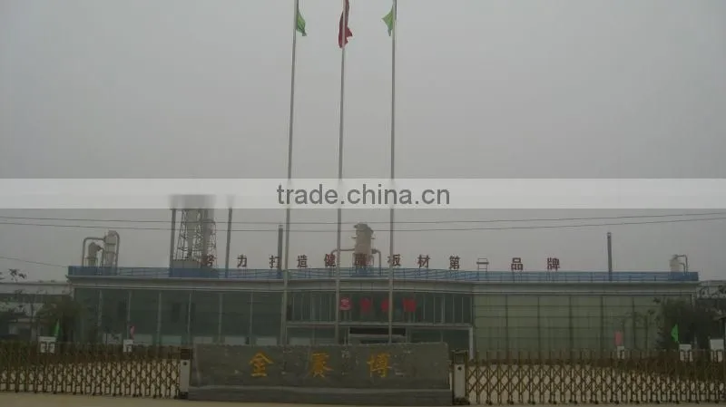packing plywood vietnam 4 ft. x 8 ft. 3mm-28mm/kitchen decoration polyester plywood china waterproof plywood vietnam