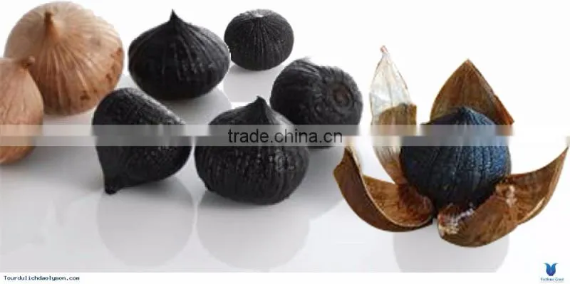 Natural Black Garlic