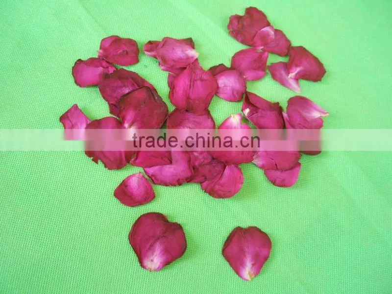 dry red rose leaf