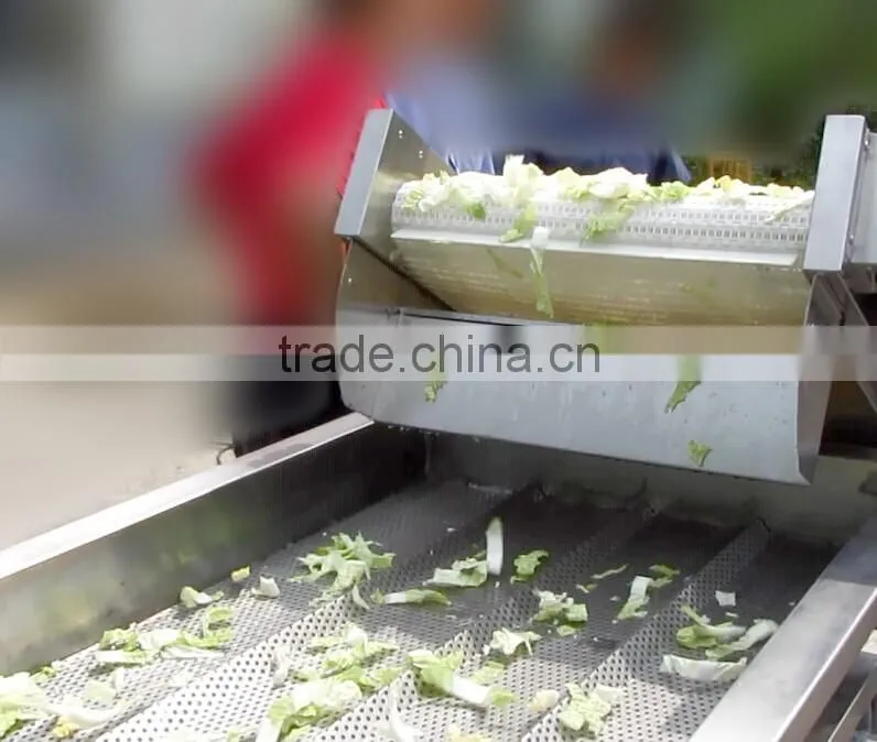 FT-1800 High Efficiency Fruit And Vegetable Vibration Dewatering Draining Machine