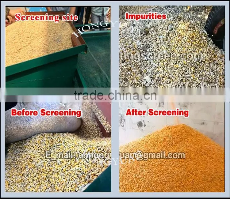Good quality Wheat cleaning machine / wheat cleaning and screening machine