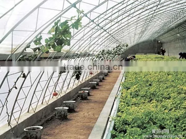 Agricultural single-spansolar lean to greenhouse