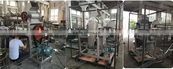 High capacity automatic apple juice making machine