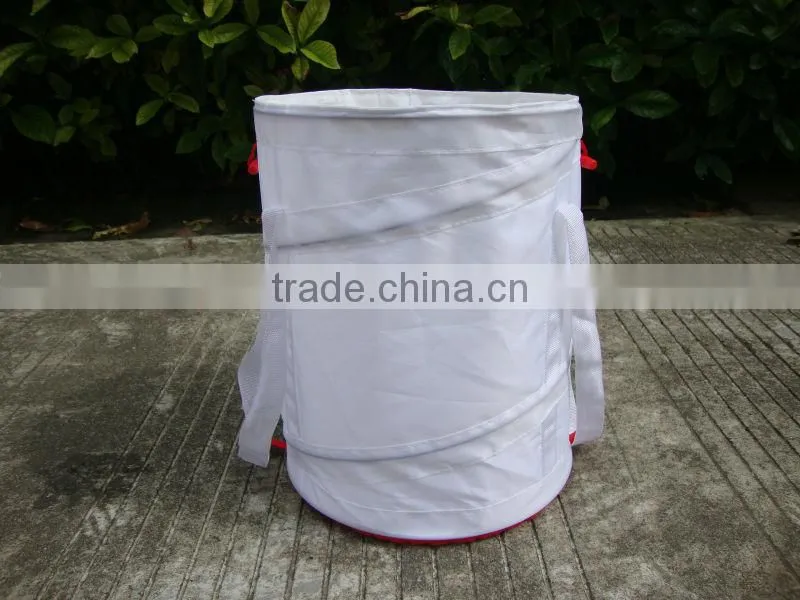 printed collapsible pet food container with cover safe PVC human food for dogs master