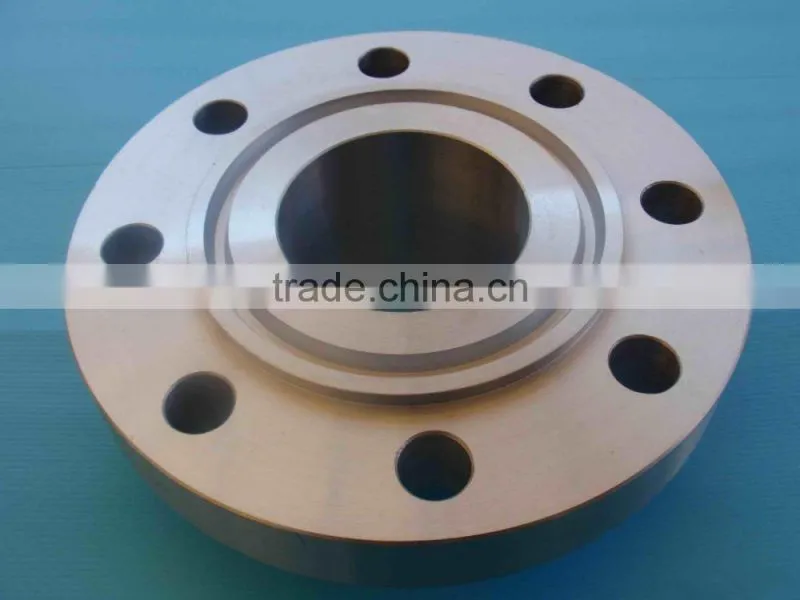 304 Stainless Steel Flanges made in China