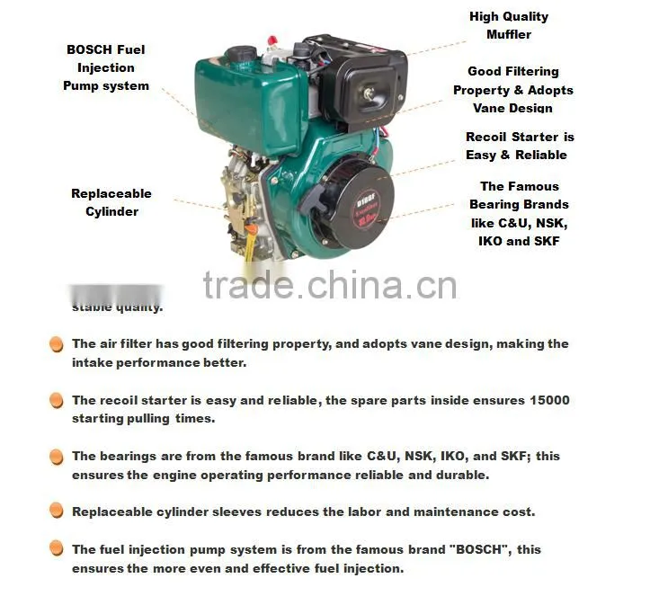 Excalibur Customized Air-cooled Single Cylinder 296cc Diesel engine