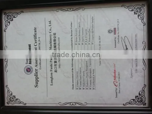 CE & ISO9001 Apple/Guava/Melon/Mango Foam Net Machine