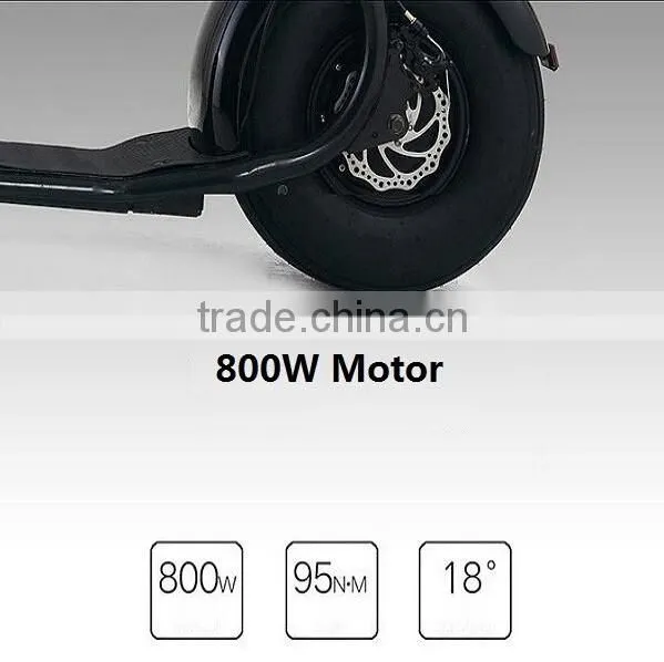 36V 800w electric scooter with brushless motor