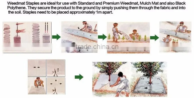 Environmental biodegradable ground cover