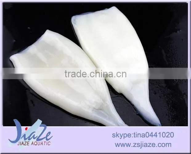 frozen Squid Tube- todarodes pacificus