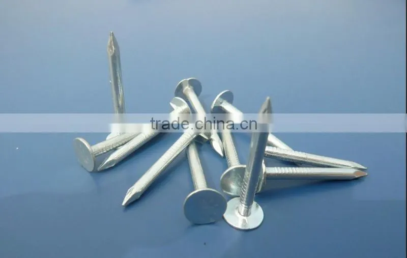 Galvanized clout nails /roofing nails flat head