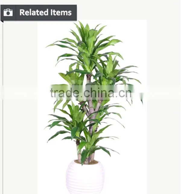 Hot sell decorative artificial indoor plant for living room decoration